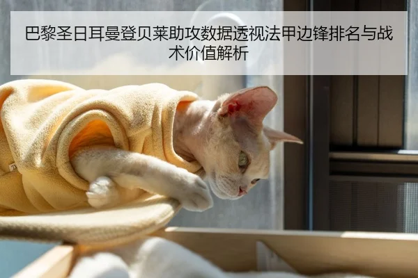 巴黎圣日耳曼登贝莱助攻数据透视法甲边锋排名与战术价值解析